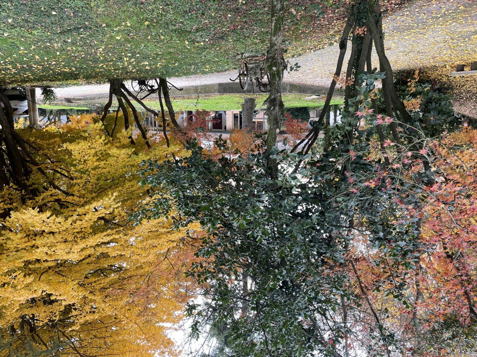 Padova Villetta Con Ampio Parco Privato Campodarsego Exteriör bild